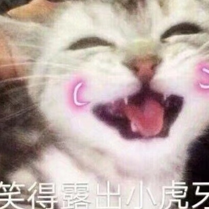 一整個夏天的