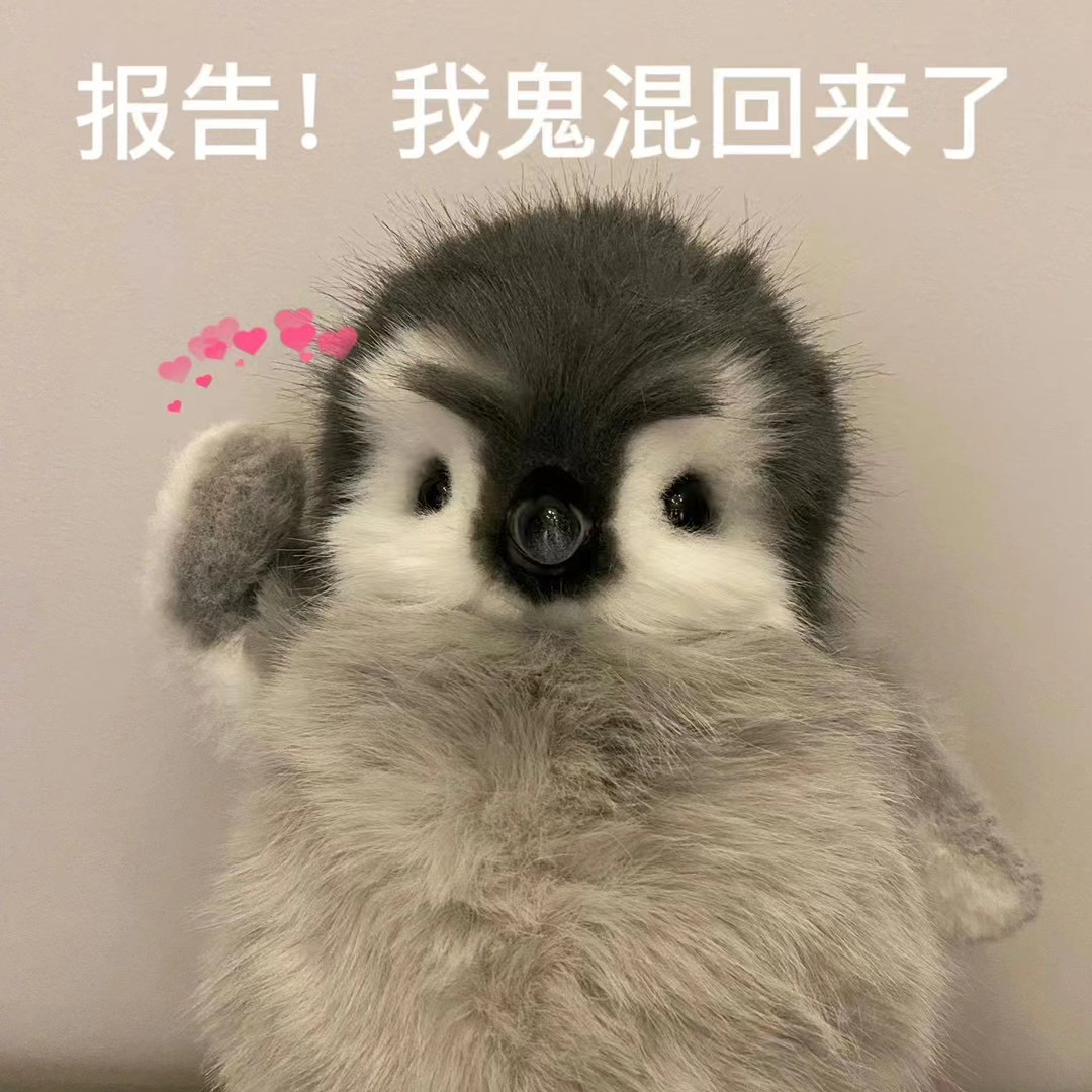 刺猬的屁屁
