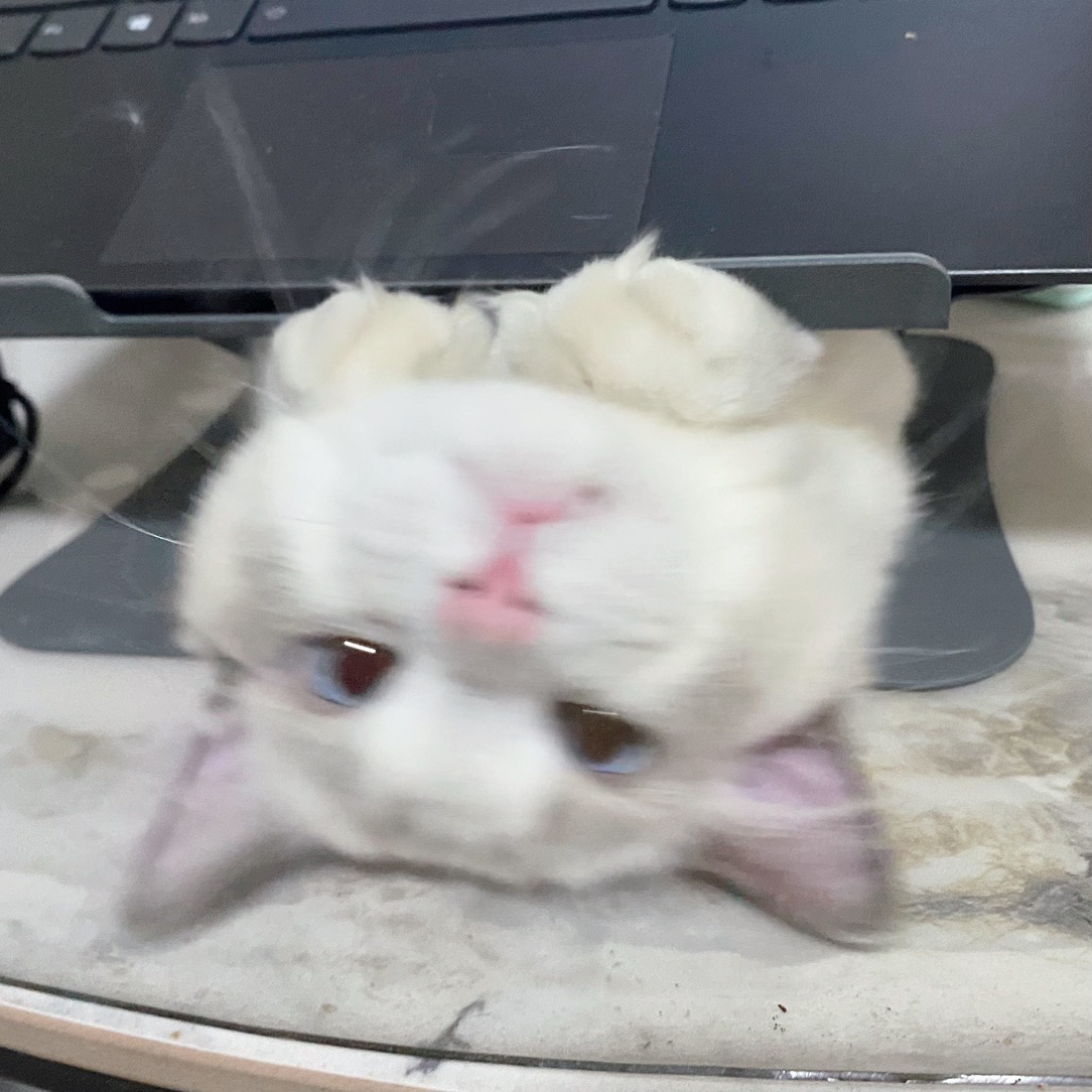 puff的猫爬架