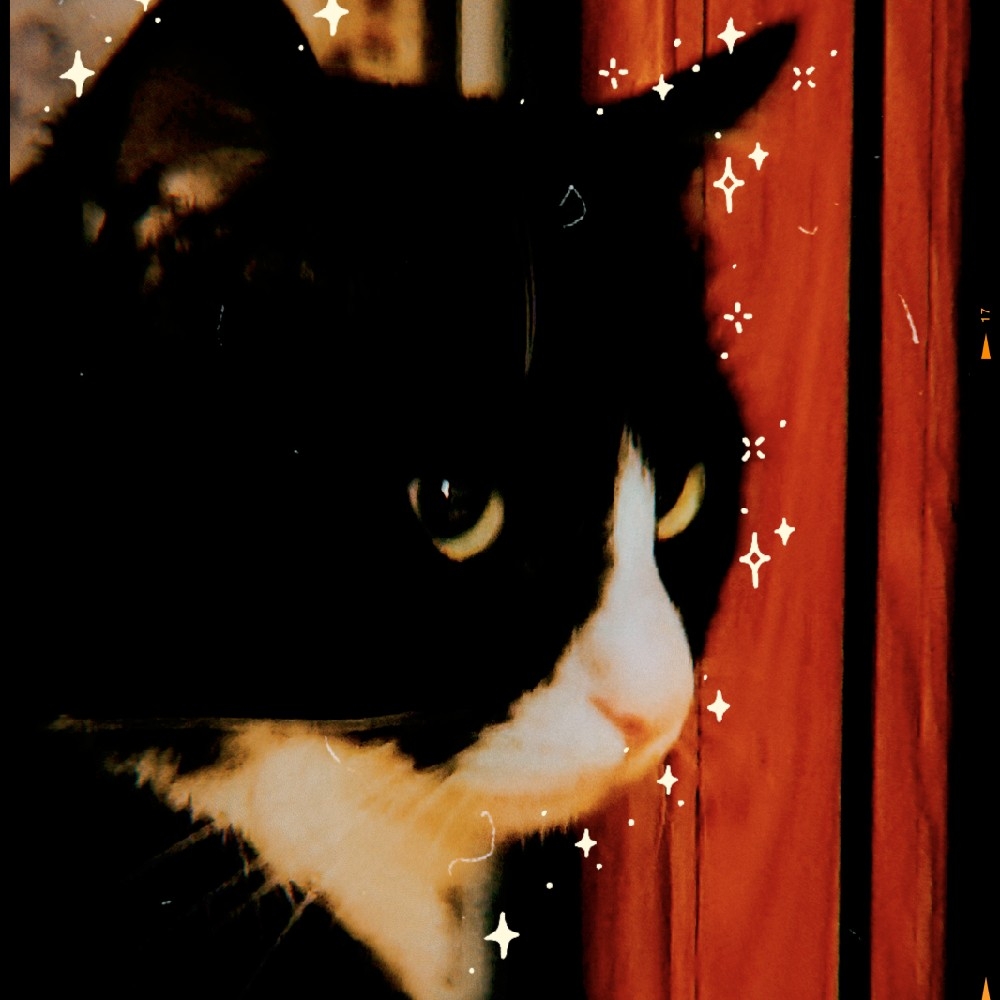 CHRiiiiiiSSIE