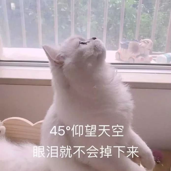 卿卿卿书