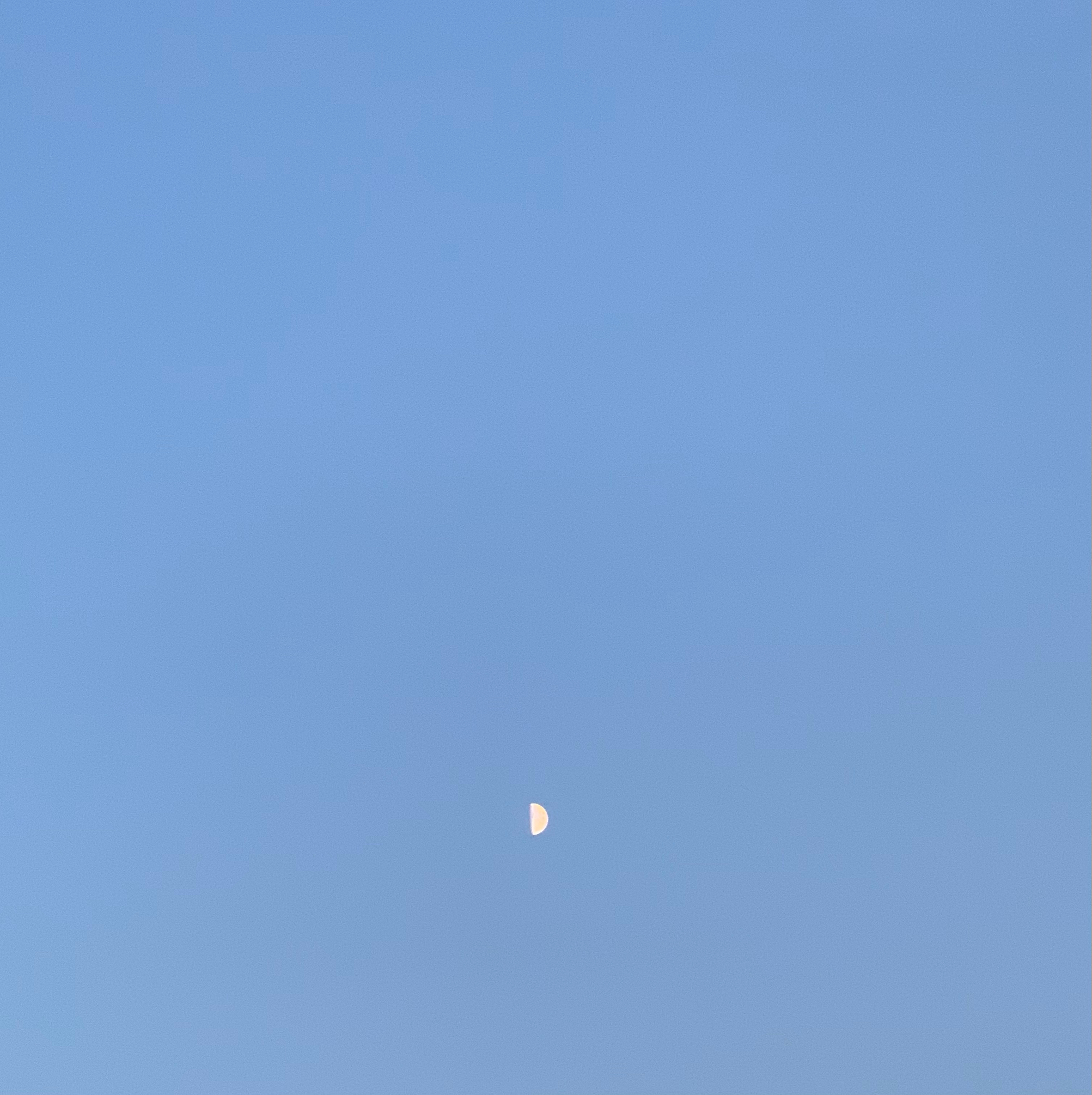 陆陆尽可能有为