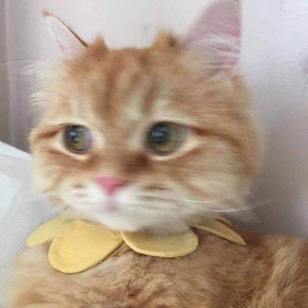 霖小溪