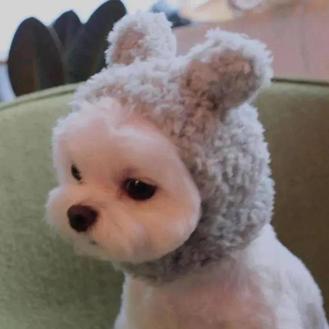是忍冬哦