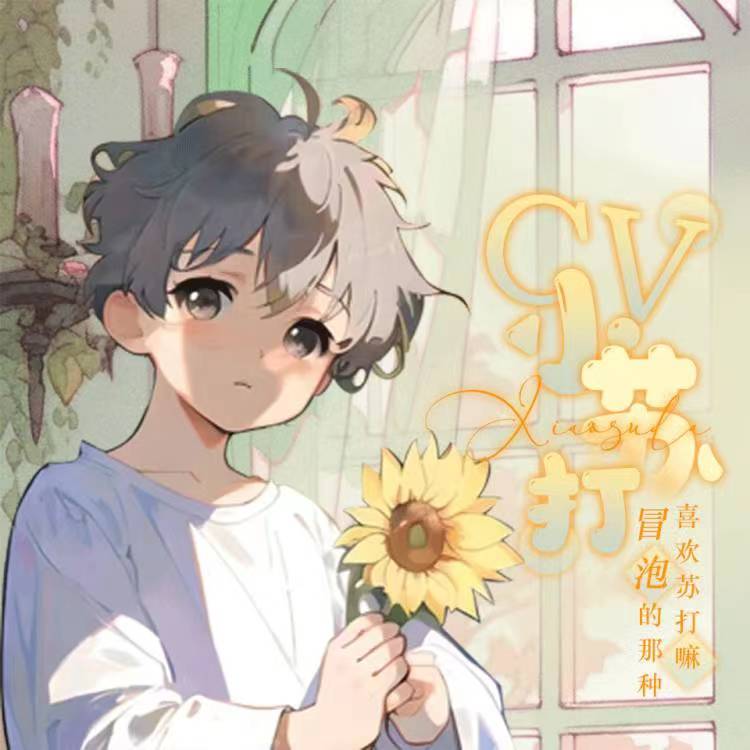 cv小苏打