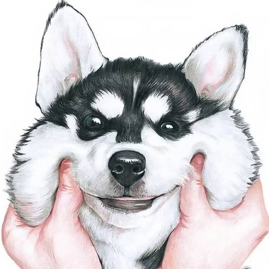 CV蔡二狗