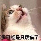 青黛想躺平