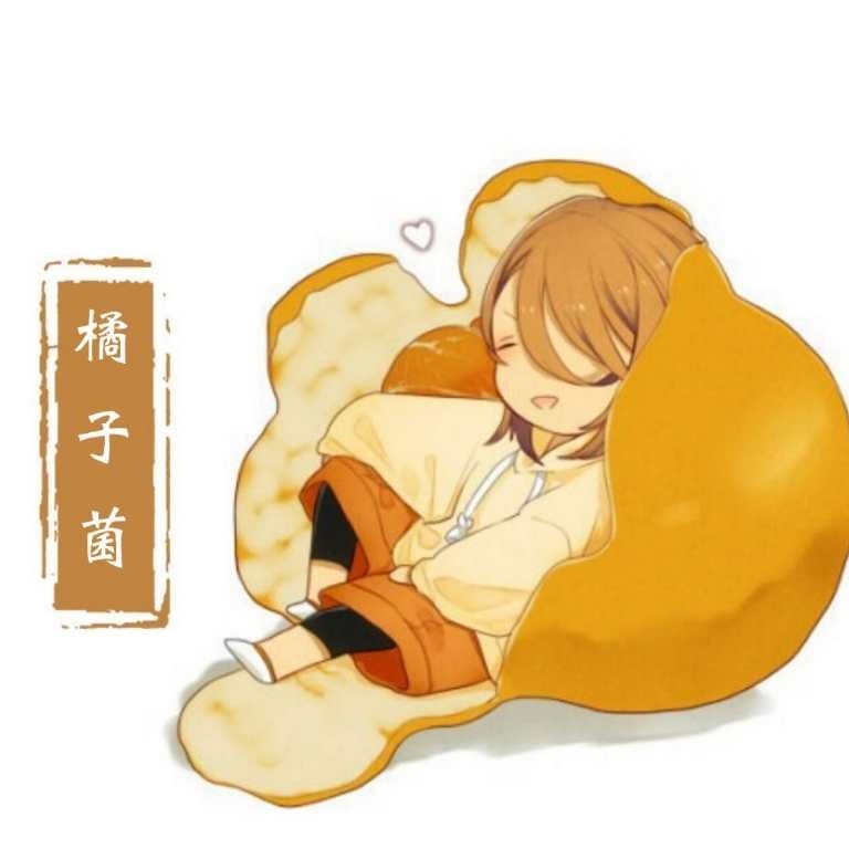 Cv橘子菌