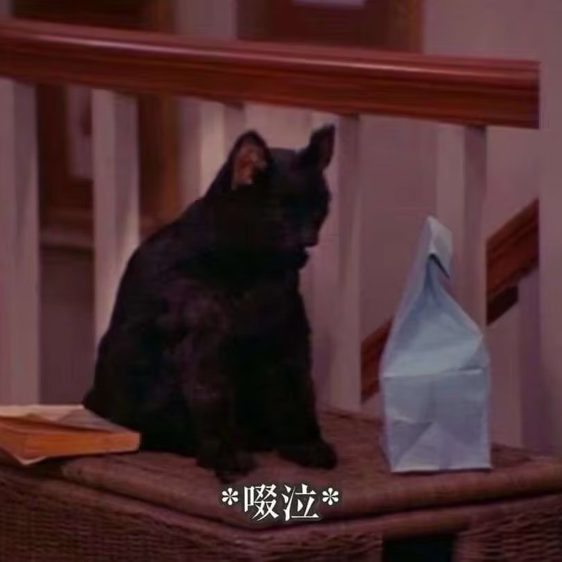 孙黯