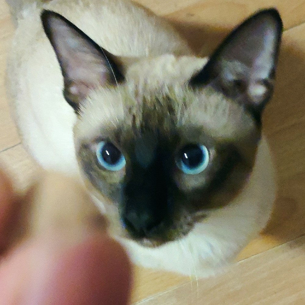 诺辰NuoChen