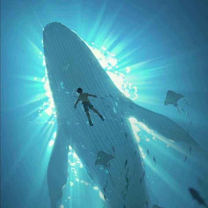 FISH余昌宇