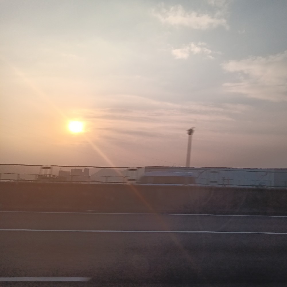 甘荠