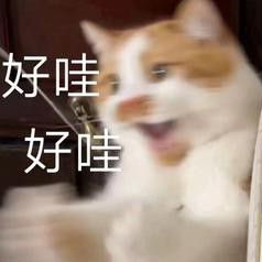 狮子4875