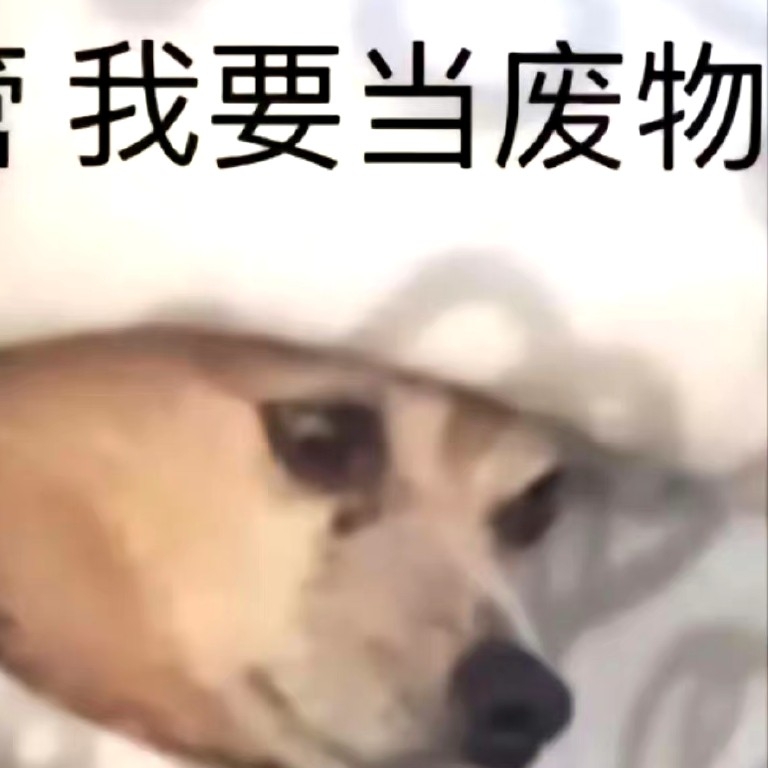 桃子水✨