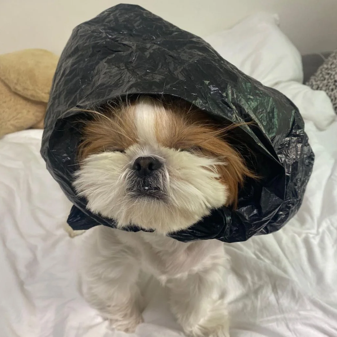 kkkke在吗