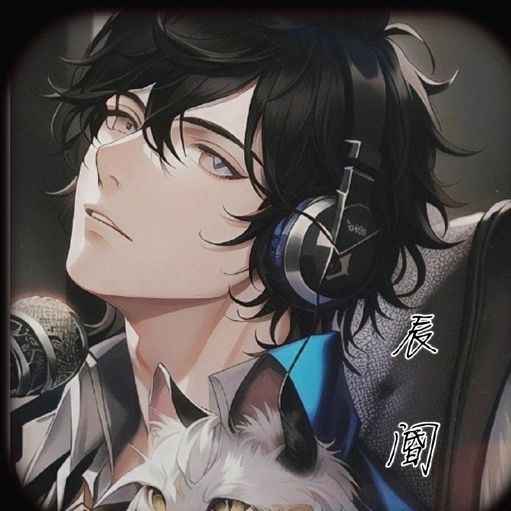 CV辰阍
