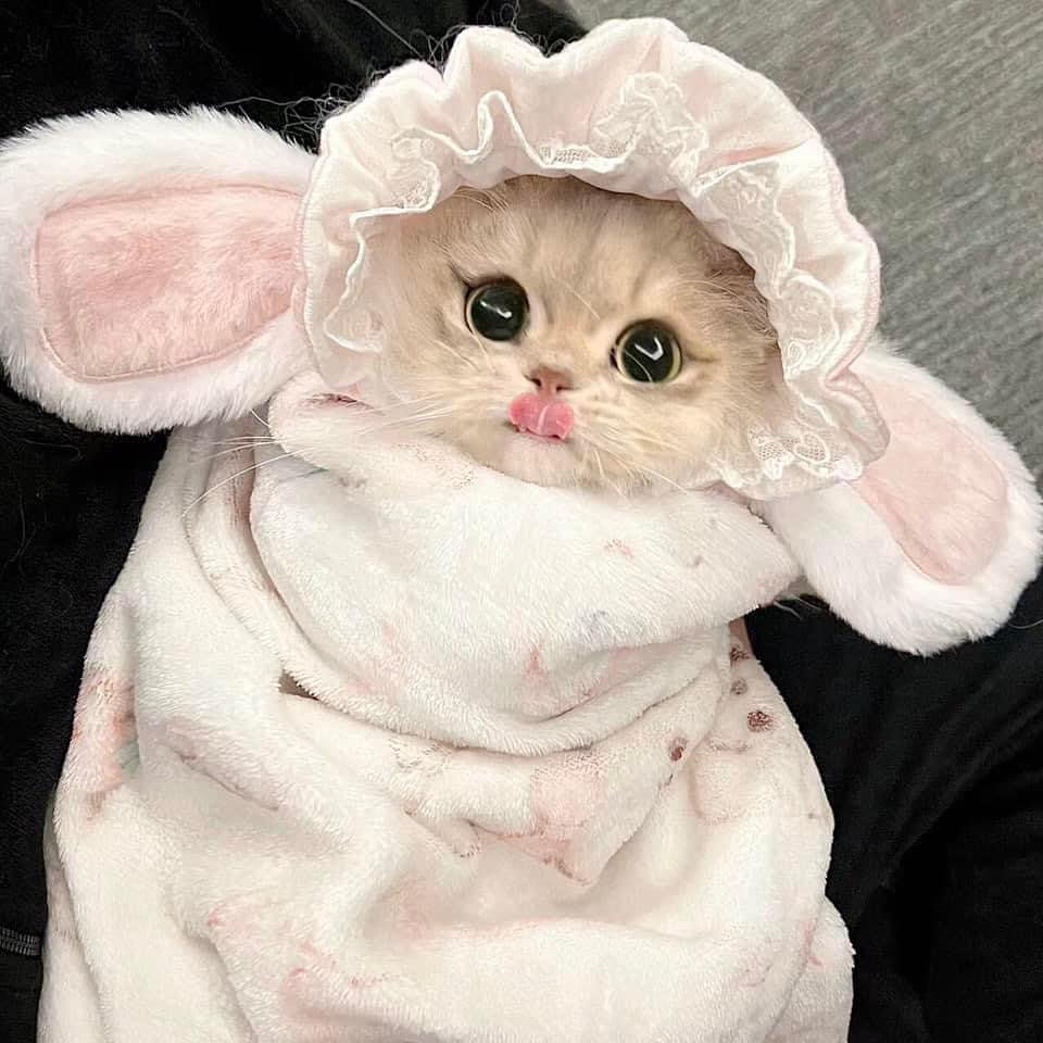 財發發呀