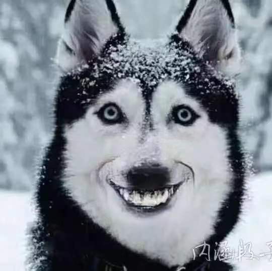 王诩