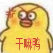赵爽