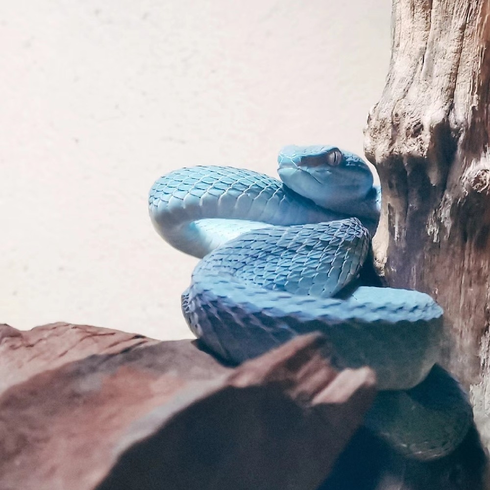 秋殁
