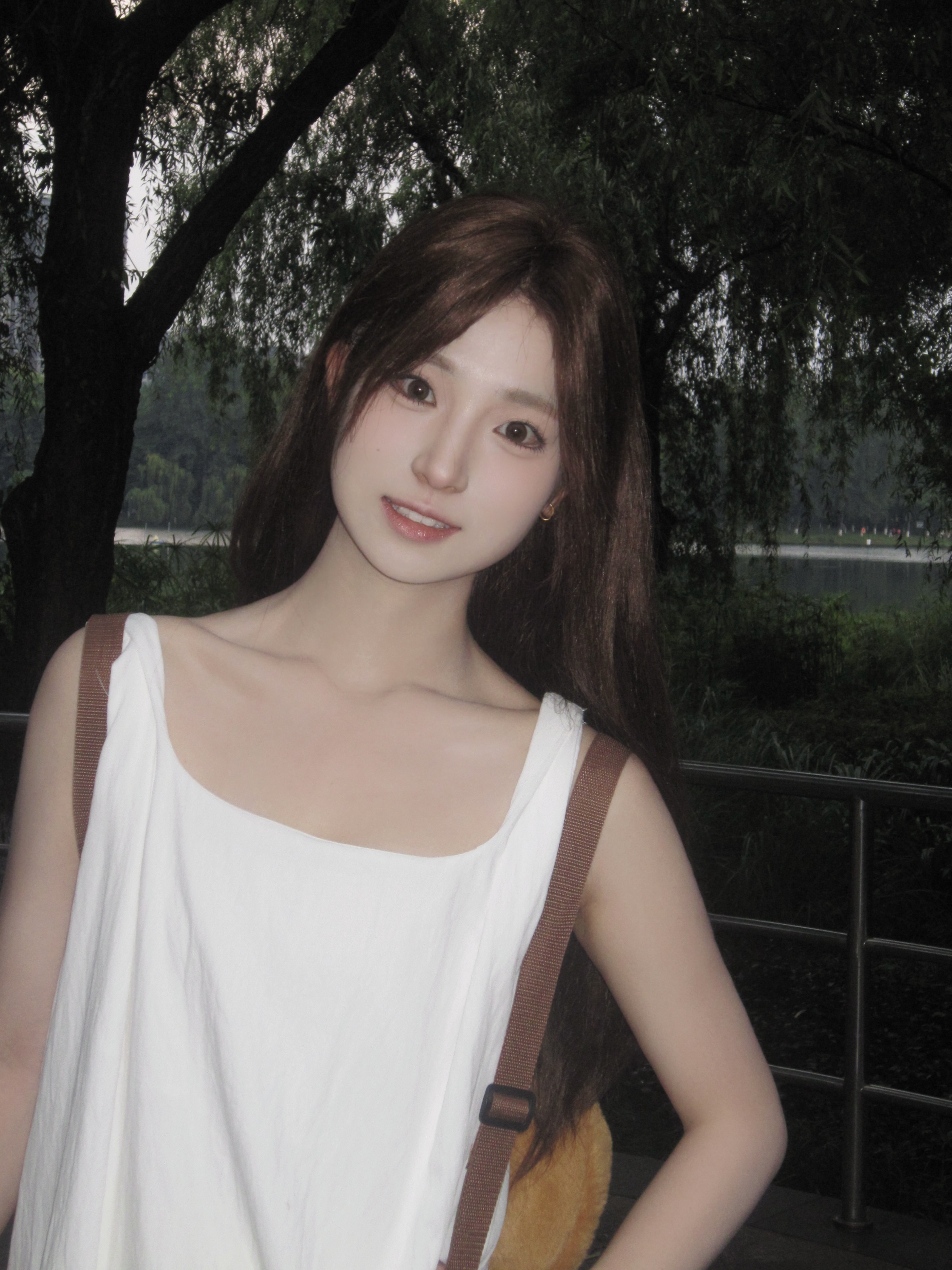 拾芥