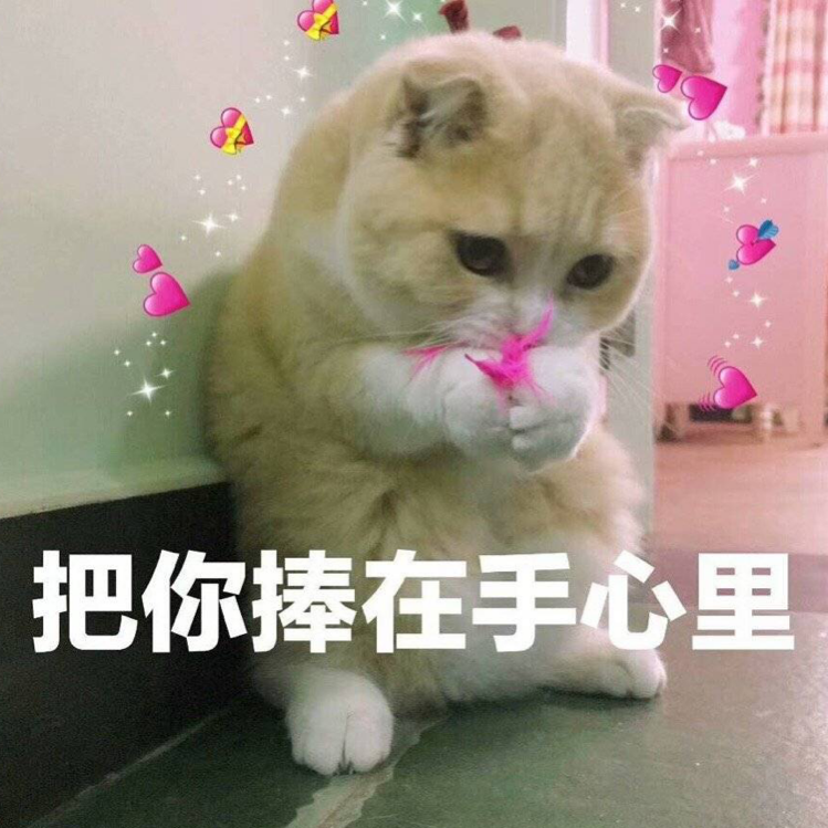 再來一碗小饅頭