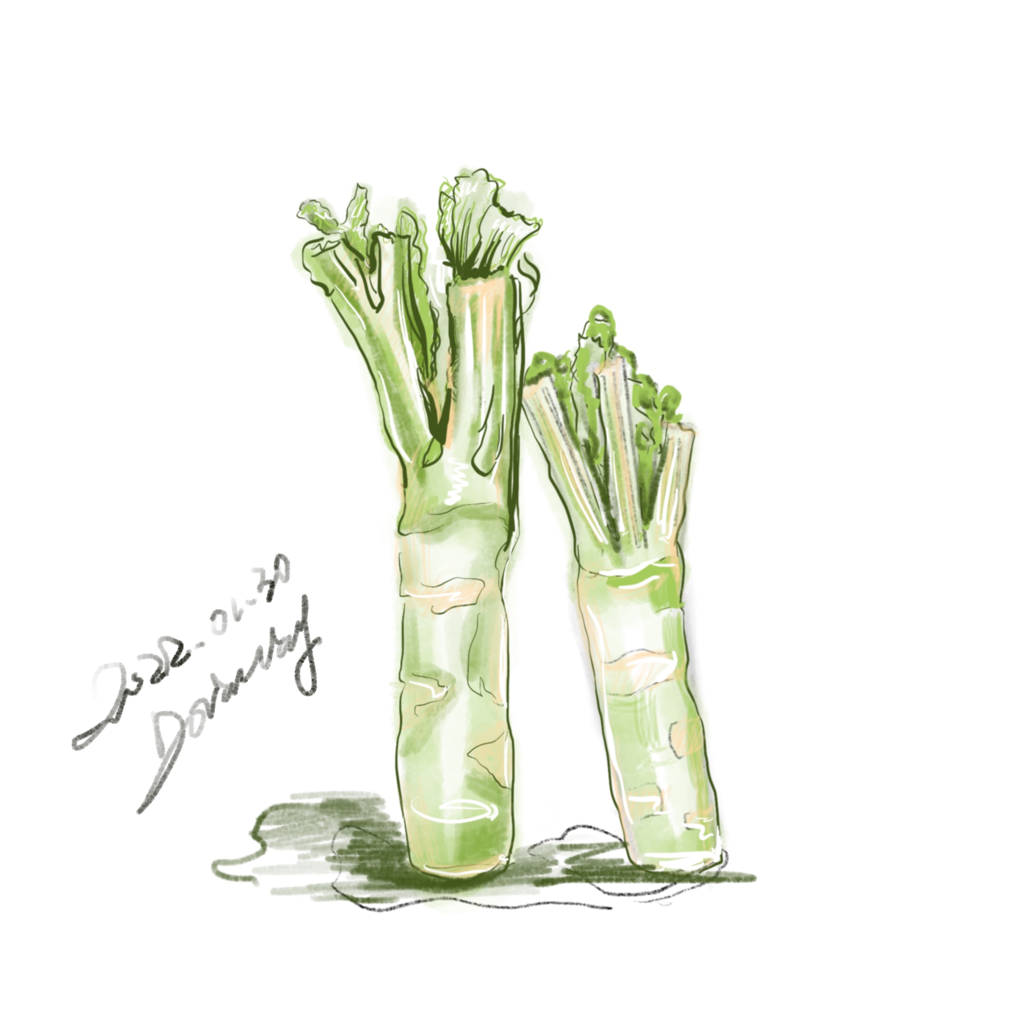 棒菜