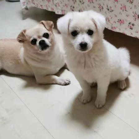 小易拉罐儿