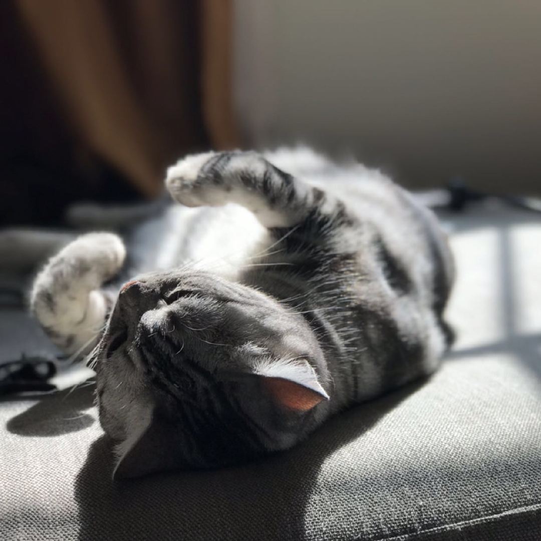 李望松