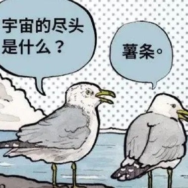 鸥鸥觉得很行