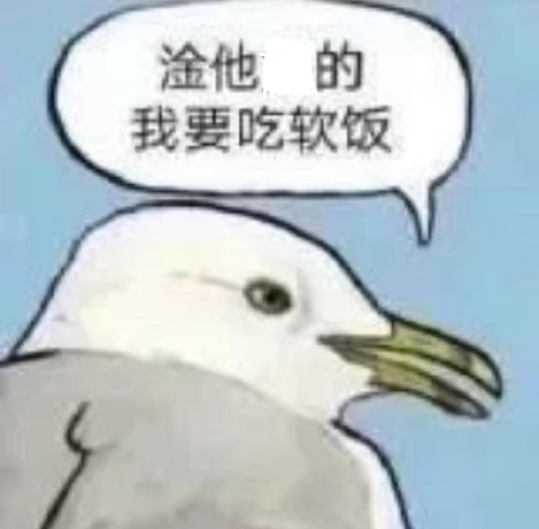 陈怡帆