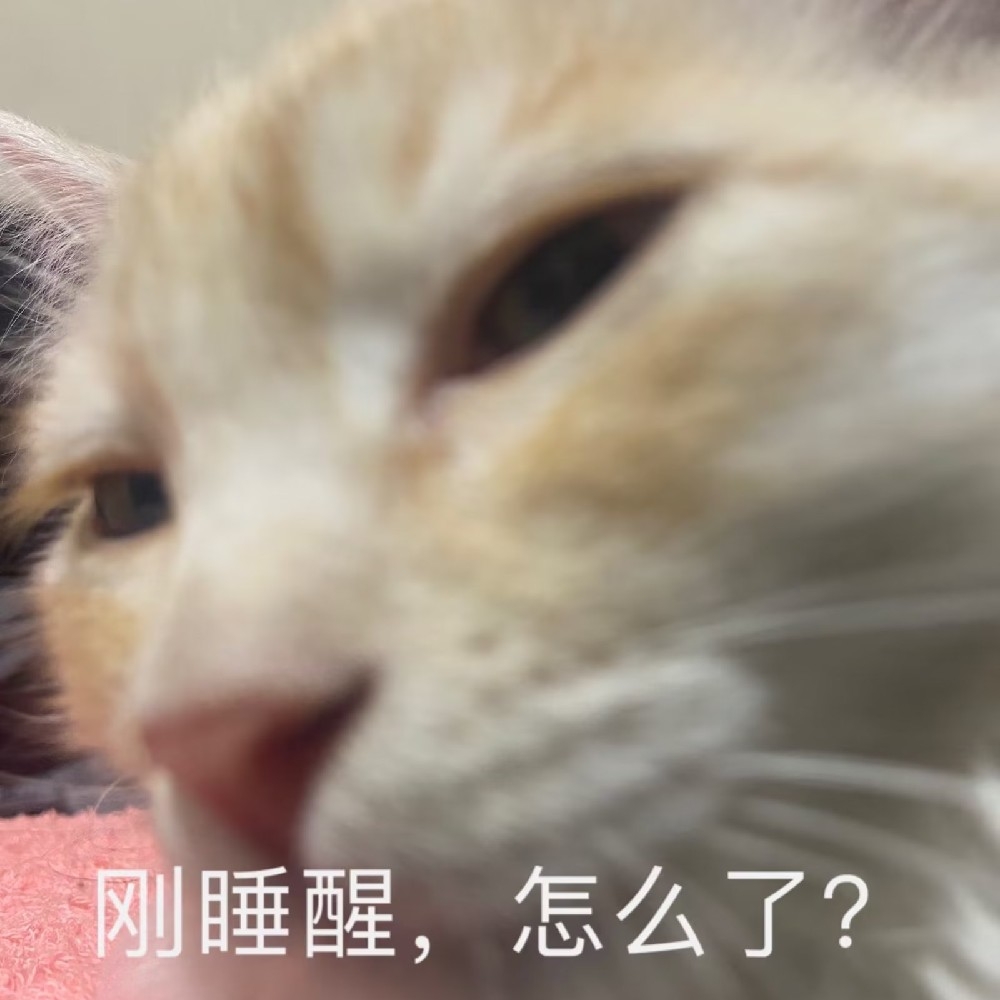 林晏晏子