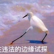 抖S喵