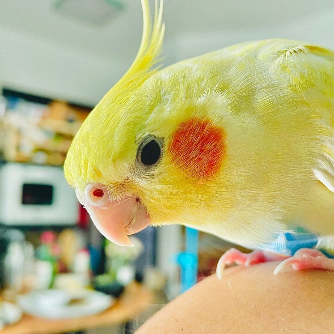馬道長
