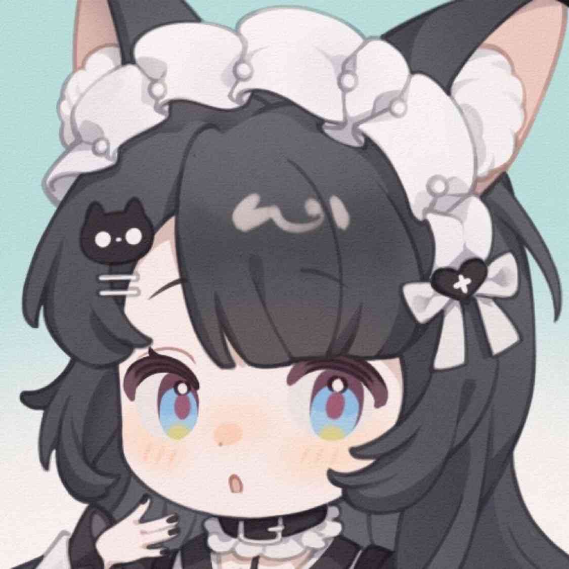 小貓愛
