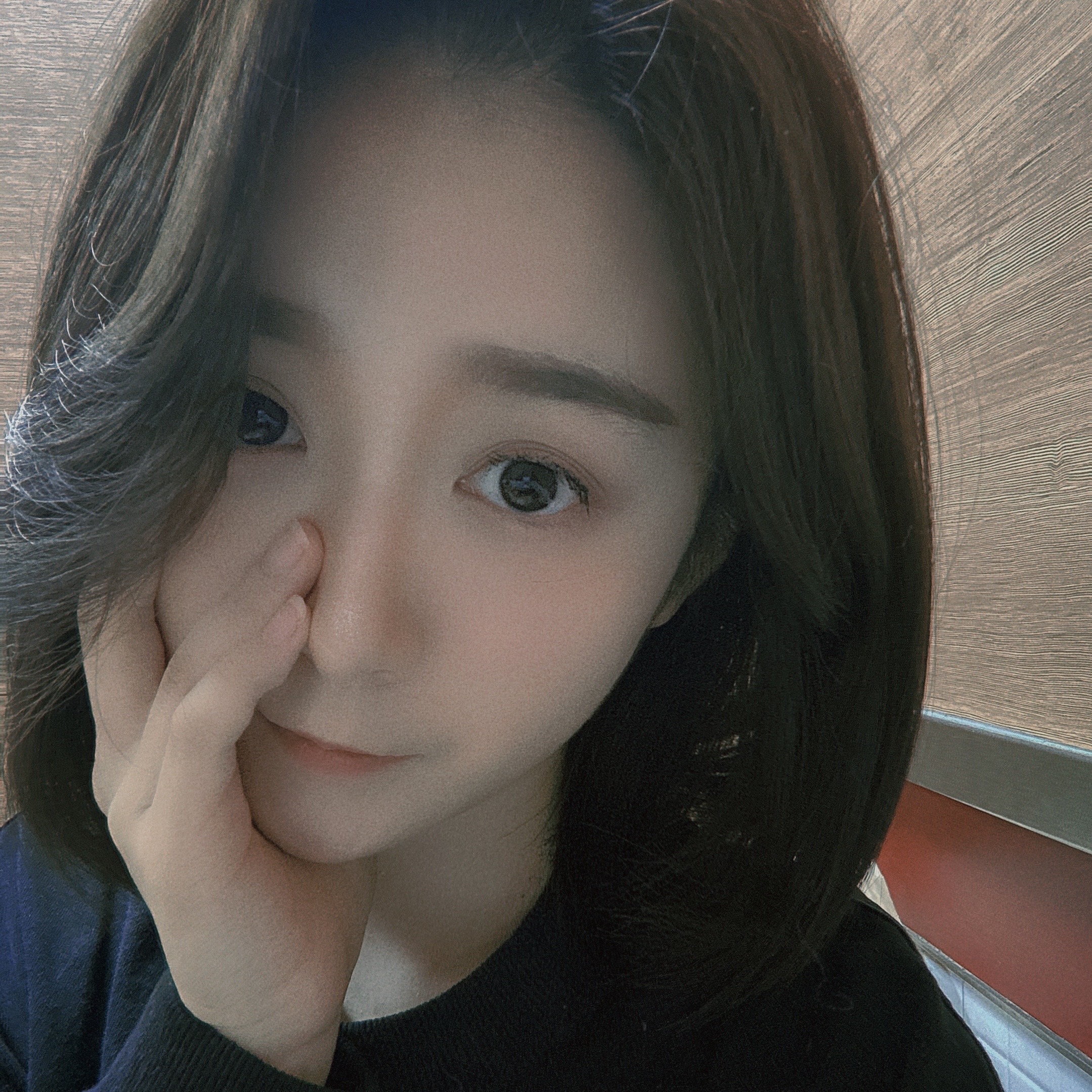 李蝉妃