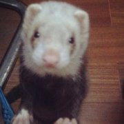 玄三
