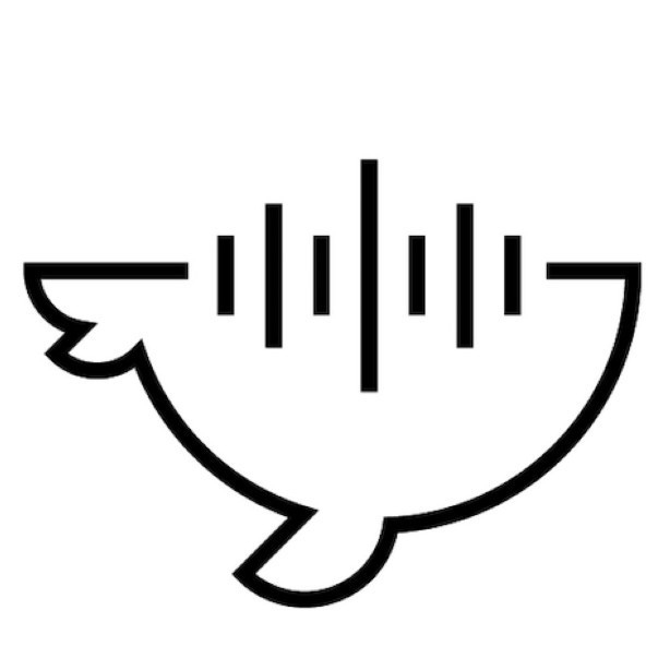 金鲸鱼声工场