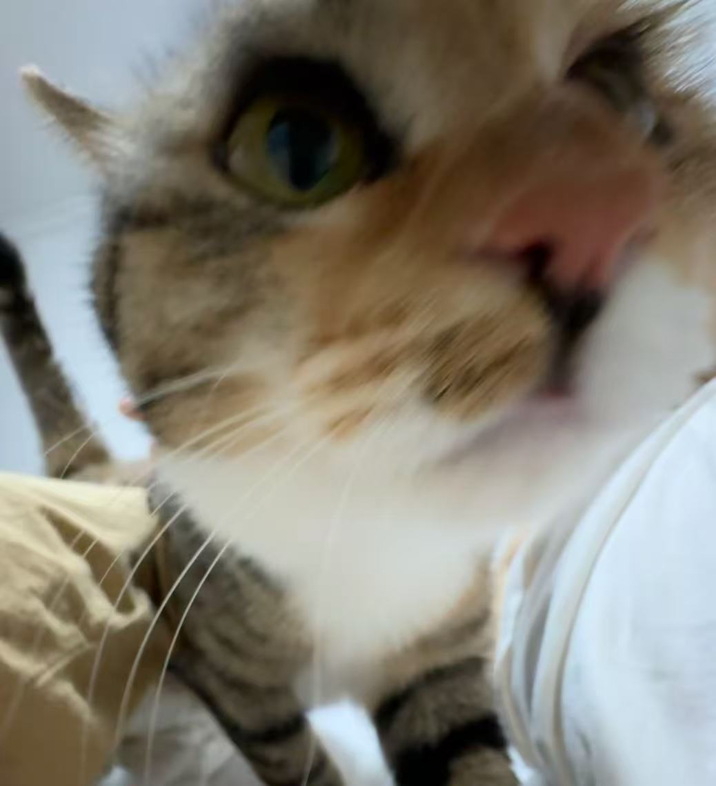 張潤
