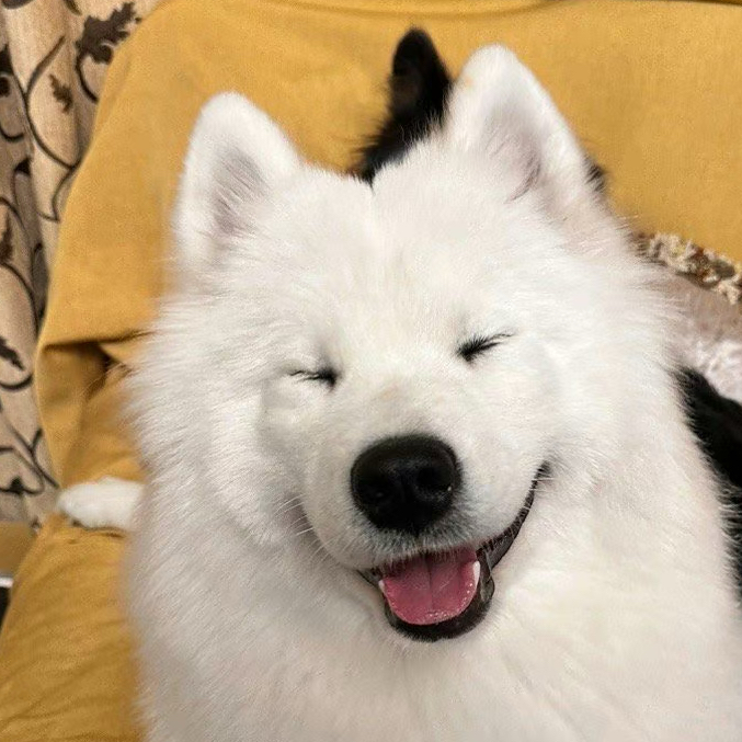 颤凛