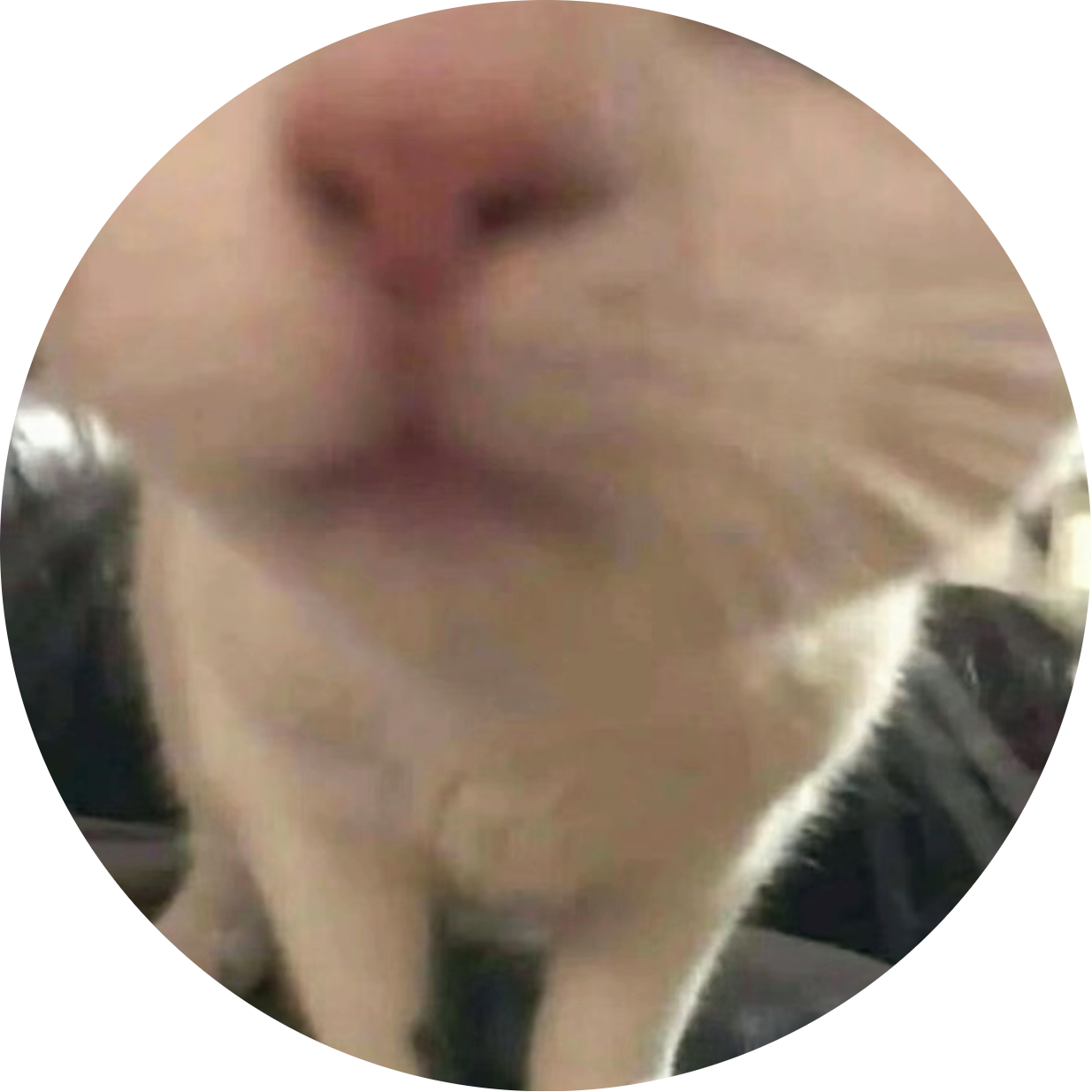 段安